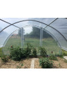 Façade sans porte, serre Gothique largeur 4.50 m | Serres Tonneau