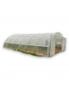 Serres professionnelles Tunnels 6,50m x 9m | Serres Tonneau