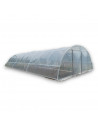 Serres professionnelles tunnel 6,5m x 13.5m | Serres Tonneau