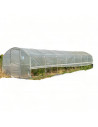 Serre de jardin 3m x 10.5m pieds droits 31.5m²| Serres Tonneau