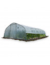 Serre maraîchère à pieds droits 5m x 10.5m|Serres Tonneau