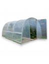 Serre de jardin 3 x 4.5m cultivez la tomate | Serres Tonneau