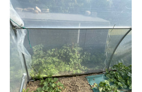 Jeu de 2 raidisseurs pour serres Abri Légumes  | Serres Tonneau