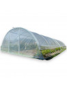 Serre de jardin professionnelle 5.80m x 12m | Serres Tonneau