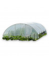 Serre de jardin professionnelle 5.8m x 10.5m |Serres Tonneau