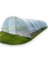 Serre de jardin professionnelle 5.8m x 7.5m | Serres Tonneau