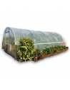 Serre de jardin arrondie 3,70 x 9m - 33,3m² | Serres Tonneau