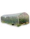 Serre à tomates 3m x 12m | Serres Tonneau