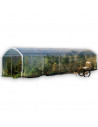 Serre à tomates 3m x 10,5m | Serres Tonneau