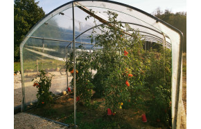 Serre à tomates 3m x 10,5m | Serres Tonneau