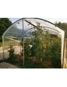 Serre à tomates 3m x 10,5m | Serres Tonneau