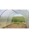 Serre à tomates 3m x 9m | Serres Tonneau