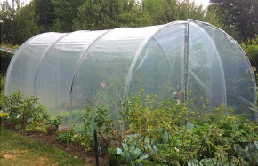 Serre tunnel avec bâche enterrée 3m x 10,5m | Serres Tonneau