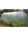 Serre tunnel avec bâche enterrée 3m x 10,5m | Serres Tonneau