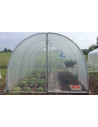 Serre tunnel avec bâche enterrée 3m x 12m | Serres Tonneau