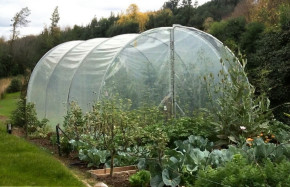 Serre Essentielle 3m00 x 12m00