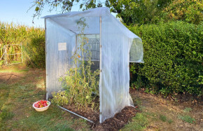 Petite serre à tomates fabriquée en France | Serres Tonneau