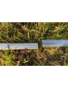 Tube pour serre 1m10 Ø30 mm, manchon inclus | Serres Tonneau