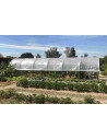 Serre de jardin arrondie 3,70 x 9m - 33,3m² | Serres Tonneau