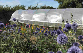 Serre de jardin arrondie 3,7m x 10,5m - 38,85m²|Serres Tonneau