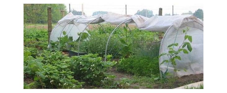 Bâches pour serres Chenille - Larg. 1m30