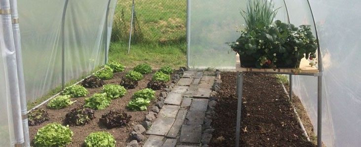Les accessoires pour votre serre de jardin